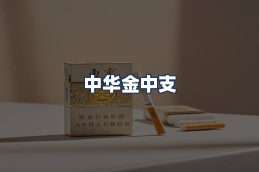 中华金中支